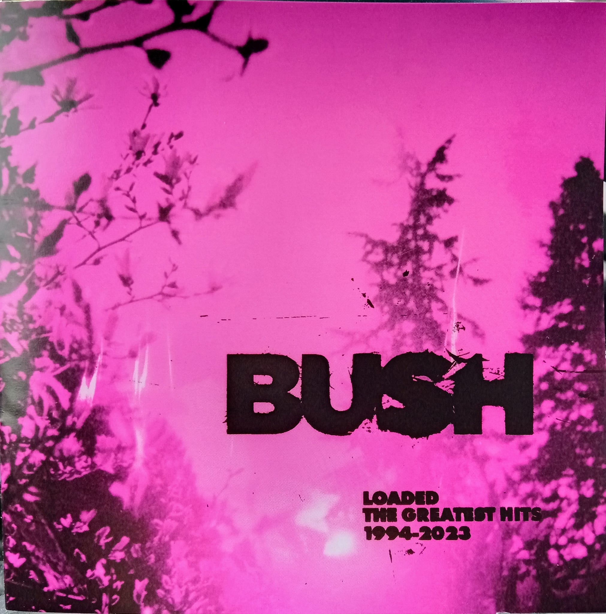 Bush's Razorblade Suitcase is a great album