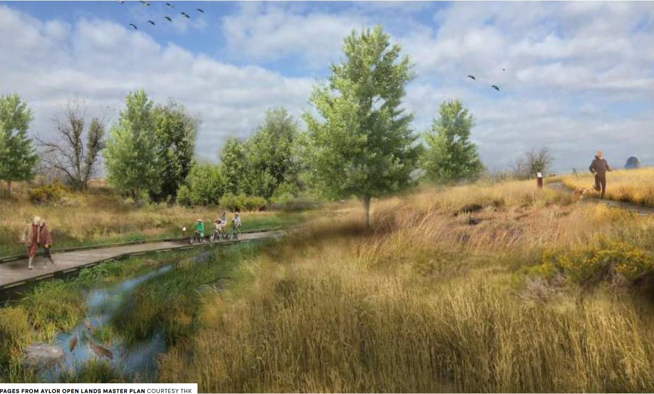 Anythink - COMING IN 2025: the Anythink Nature Library! 🌳 🦅 🏔️ This one ...