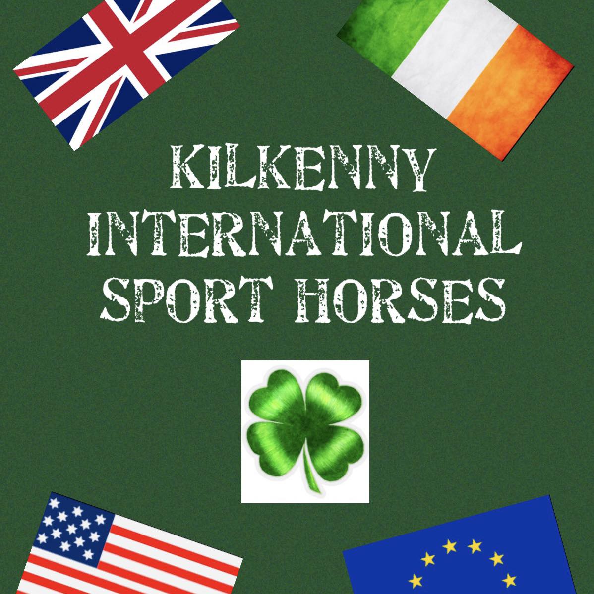 ️JUMP VIDEO ️ 🥇JUNIOR/ YOUNG RIDER / U25 MEDAL WINNING HORSE 🥇 A ...