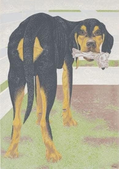THE VISIBLE DOG Assembly Kit Renwal, 1961 Click for Full Image