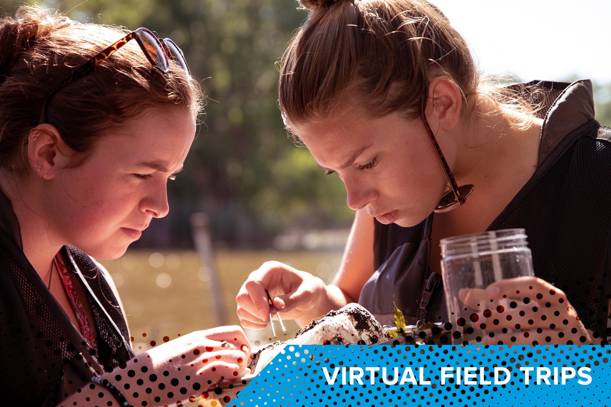 Stone Laboratory - Stone Lab Virtual Field Trips were designed for a ...