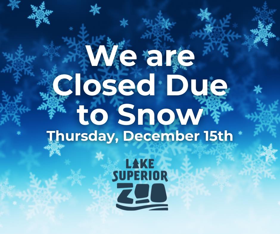 The Zoo will be closed tomorrow,... - Lake Superior Zoo | Facebook