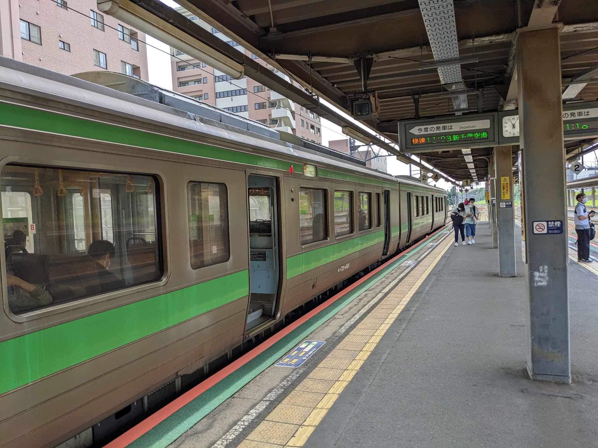 JR Hokkaido Motorail train passes by, DD51 taking the lead.