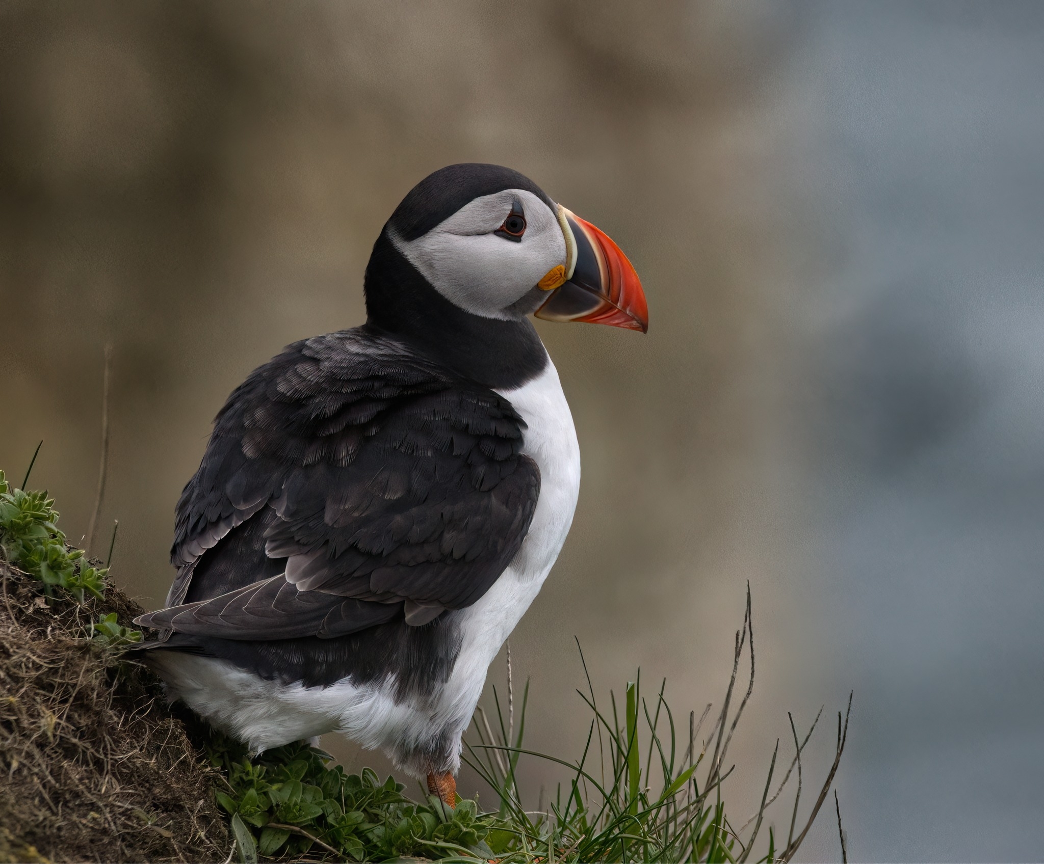 Wildlife photography in the UK | Gooood Afternoon Everyone | Facebook