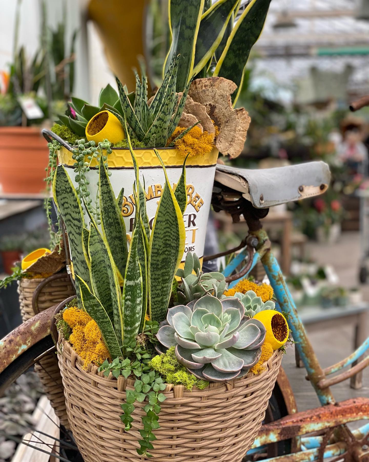 New Display Alert 🚨🚲 Our... - The Watering Can Flower Market | Facebook