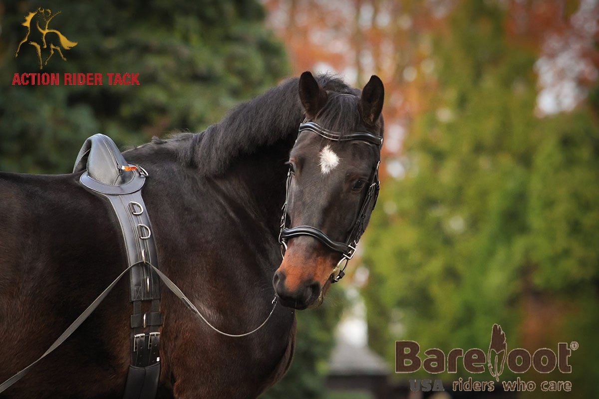 Super Grip Long Lines and surcingle... - Action Rider Tack | Facebook
