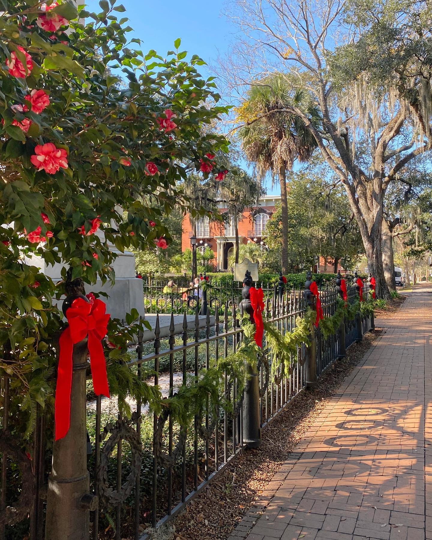 city sidewalk busy sidewalks dressed in holiday style sidewalks, sidewalks, style... 🎶 [📸 @eastcoast_usa] back yard wedding