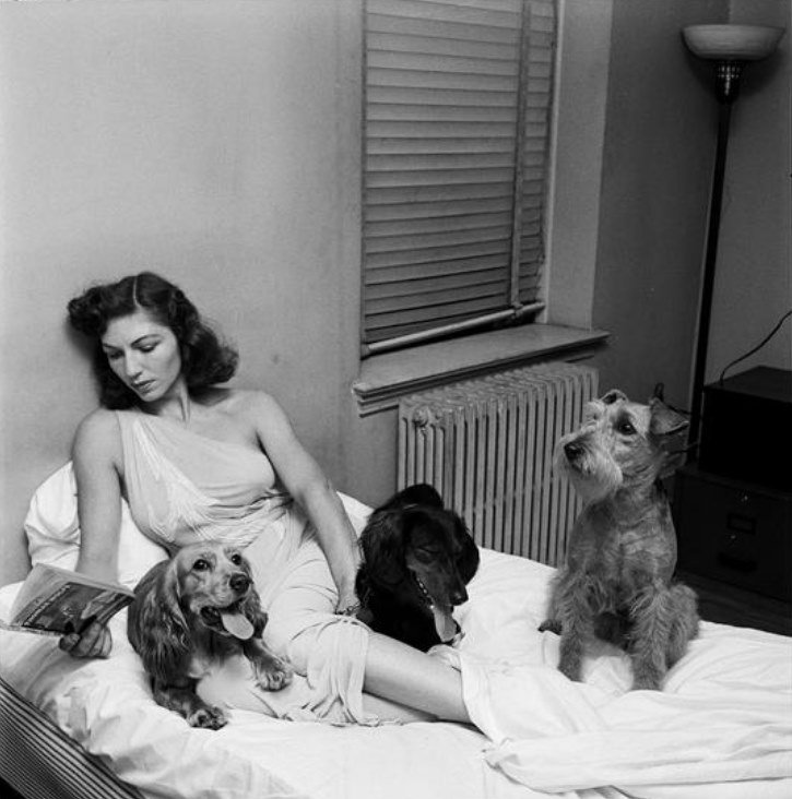 THE VISIBLE DOG Assembly Kit Renwal, 1961 Click for Full Image