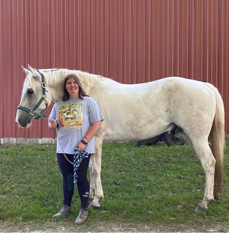 Long overdue welcome to our new lesson... - Black Ridge Farm | Facebook