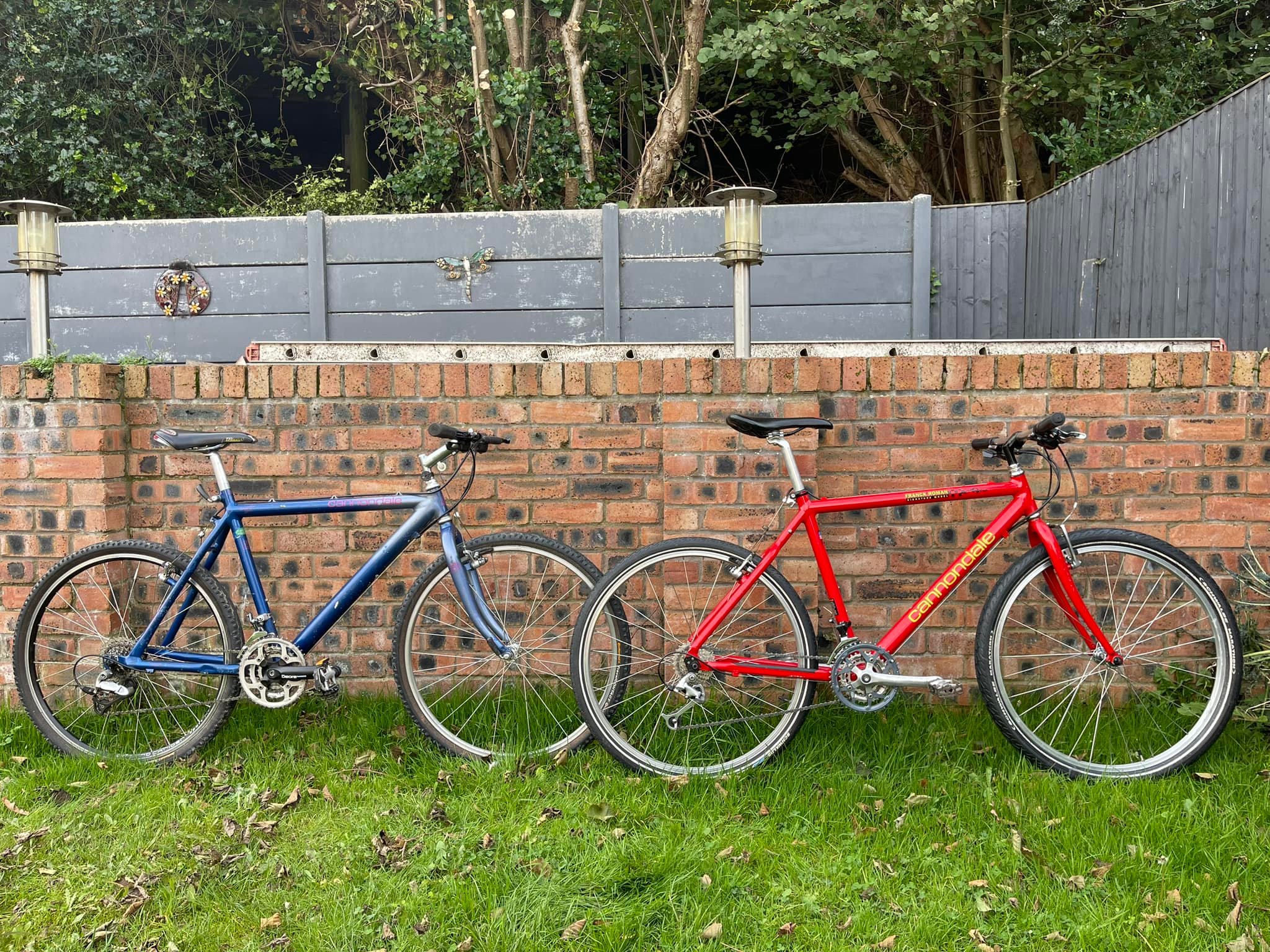 Trading 1991 Cannondale SM2000 for extra large frame bike