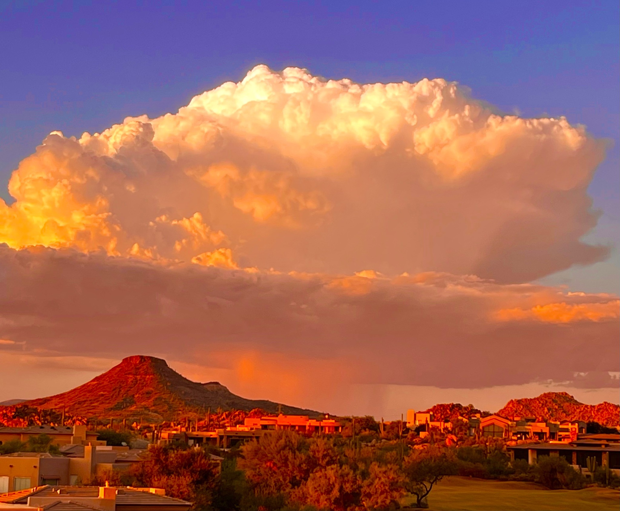 Purple sunset at Browns Ranch Trailhead in North Scottsdale