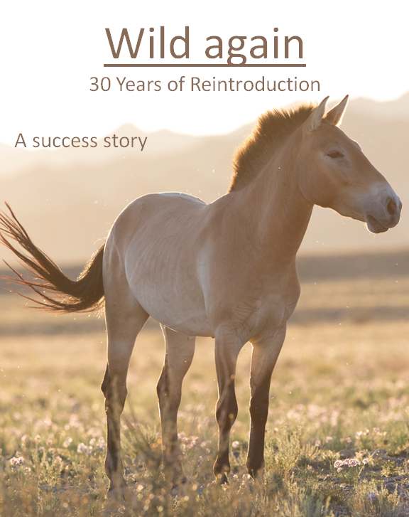 30 years ago the success story... - International Takhi Group | Facebook