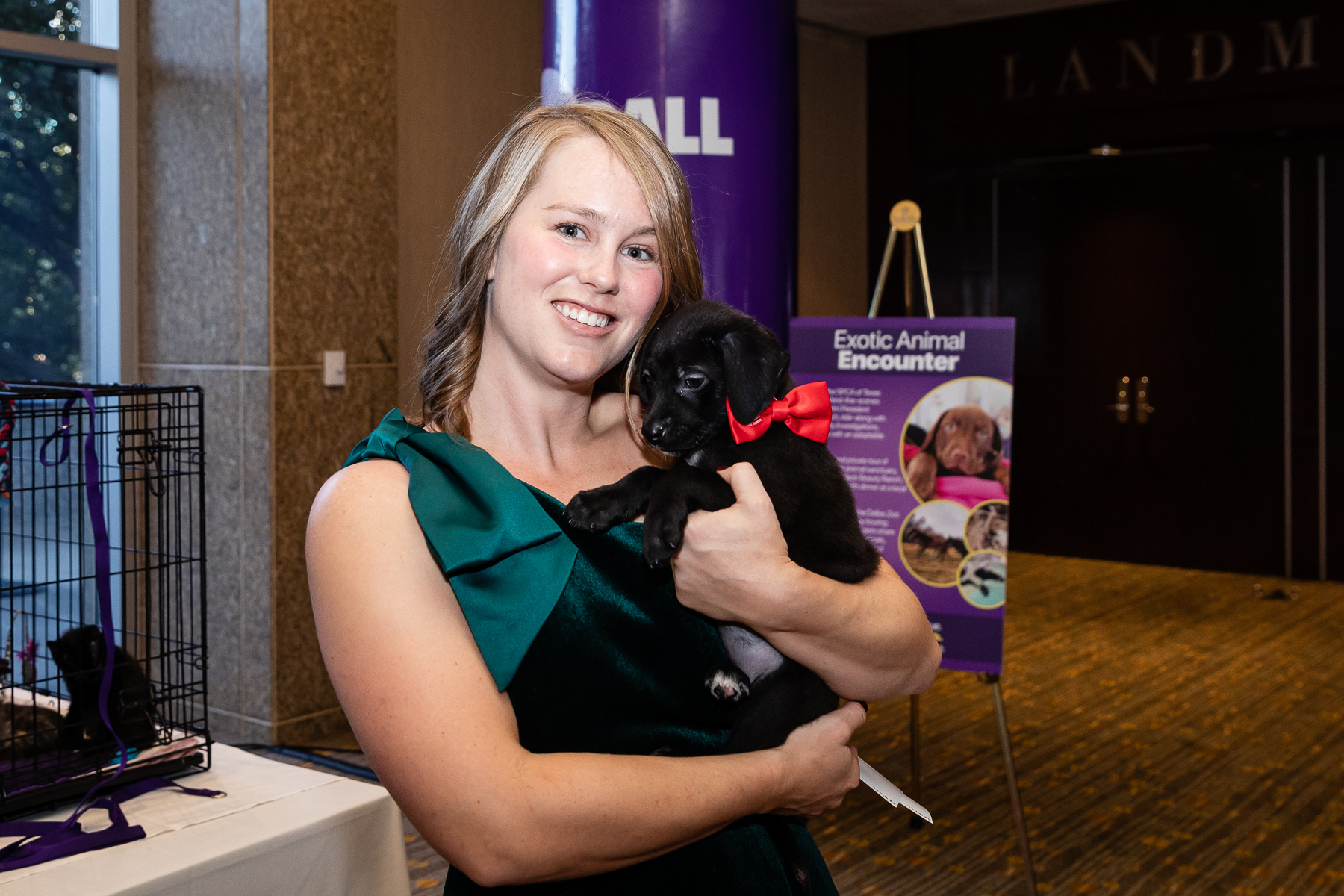 SPCA of Texas - If you want to attend the most furbulous...