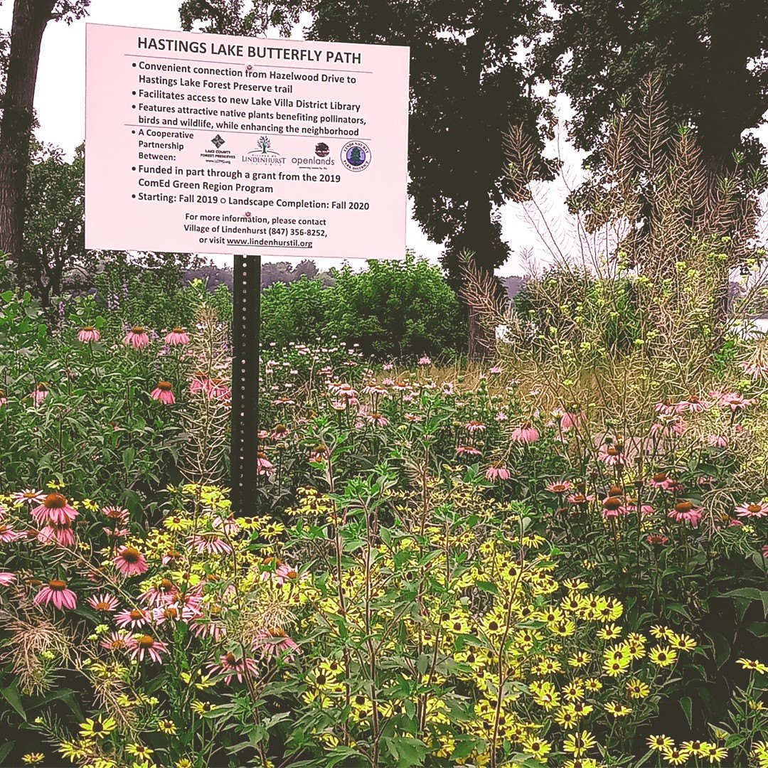 molly klowas antioch il The Hastings Lake Butterfly Path sure is pretty! Have you had the chance to walk it yet? Collagen IV Infusions: Skin Bundle:1 System persona_performance