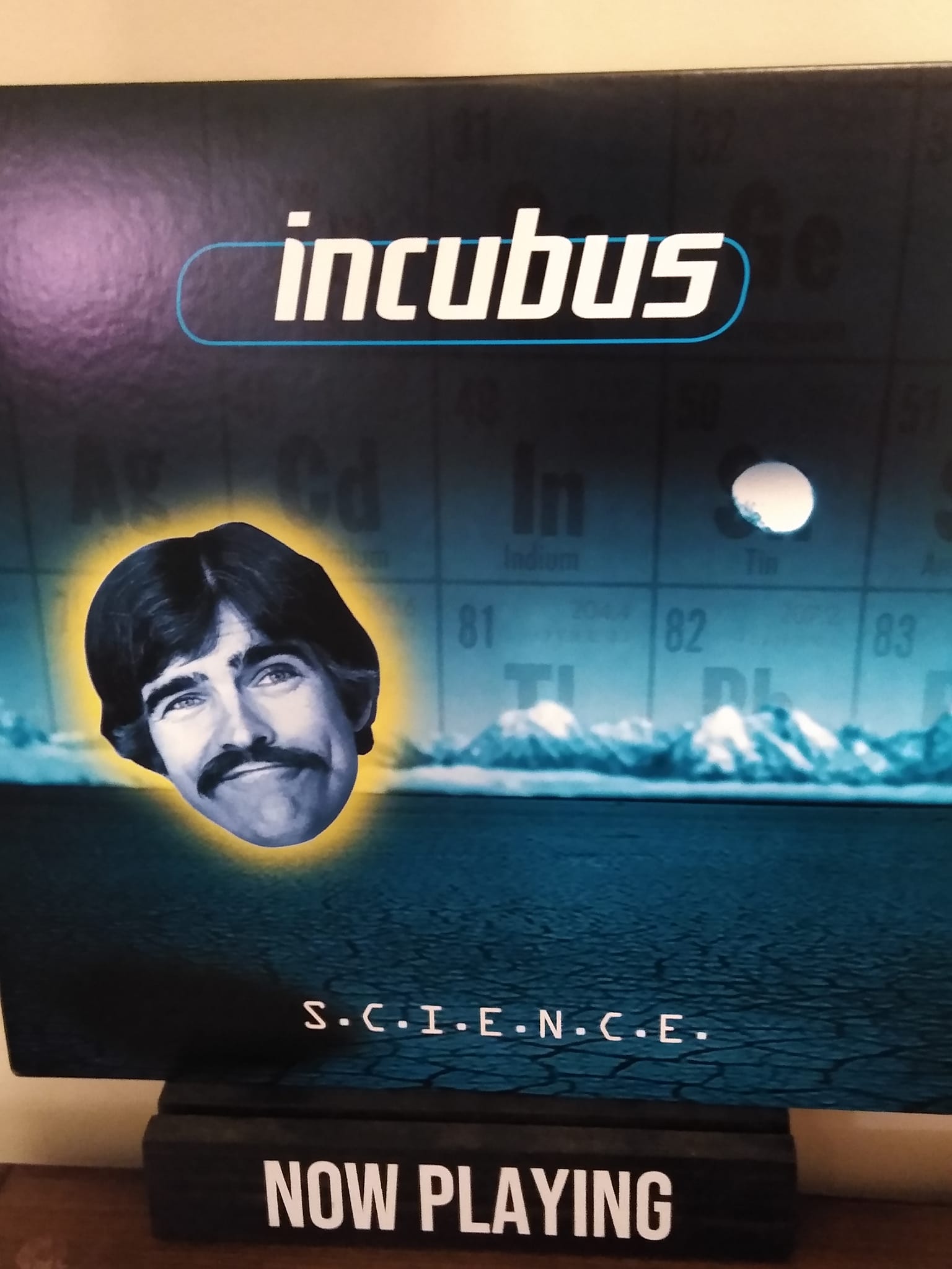 Music On Vinyl reissue Incubus 