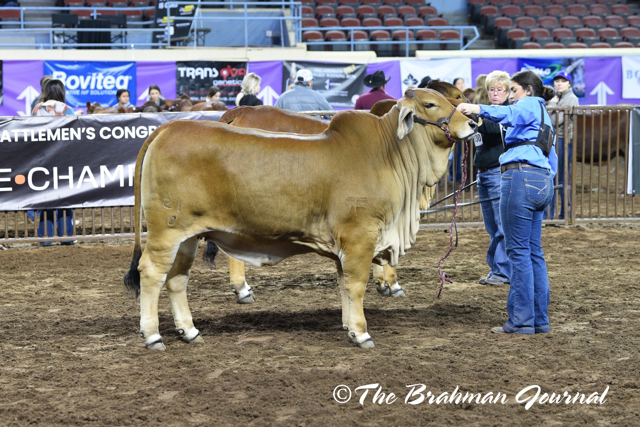 Bulls Eye Ranch - Congratulations to Razorback farms on... | Facebook