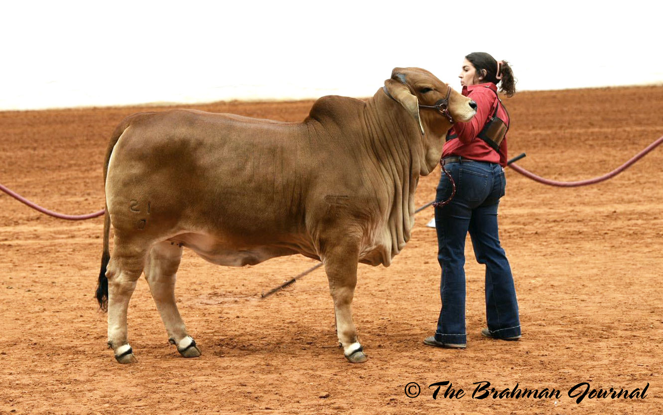 Bulls Eye Ranch - Congratulations to Razorback Farms on... | Facebook