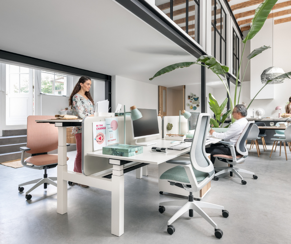 Batiplus SA - Mobilier de bureau haut de gamme et solutions d ...