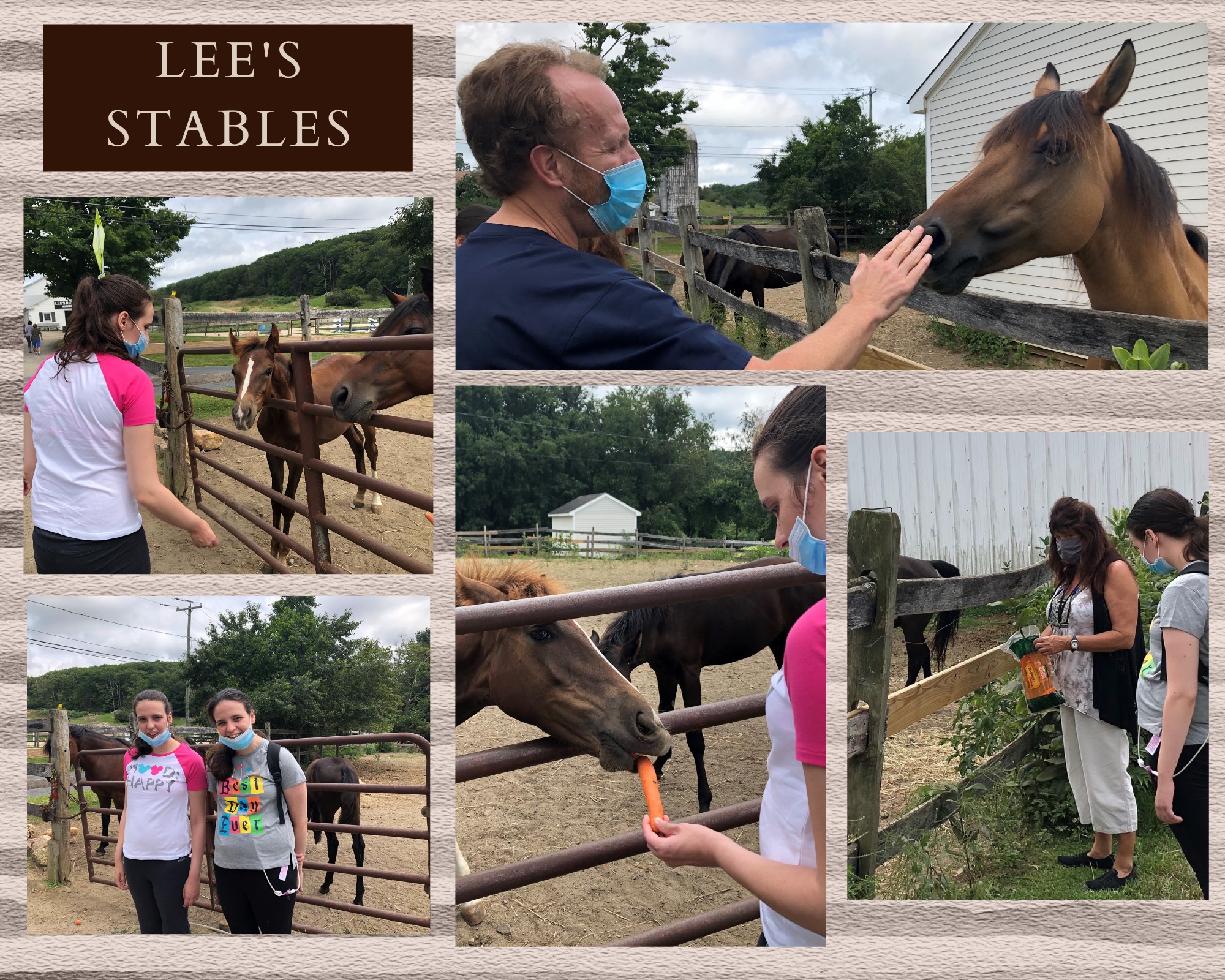 Lee's Riding Stable, Inc. | Litchfield CT