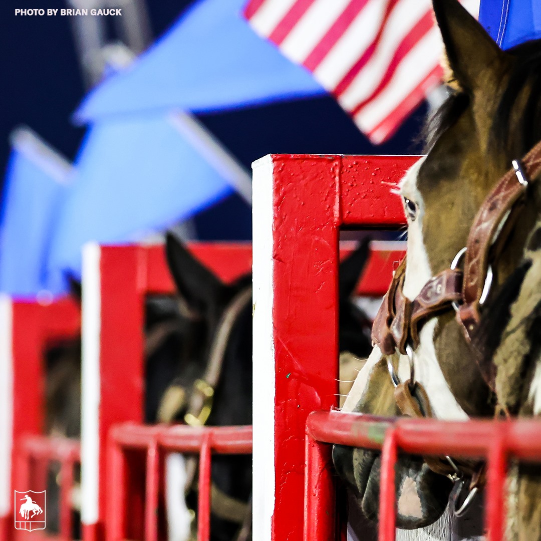 PRCA ProRodeo - Behind the lens at the Kit Carson County...