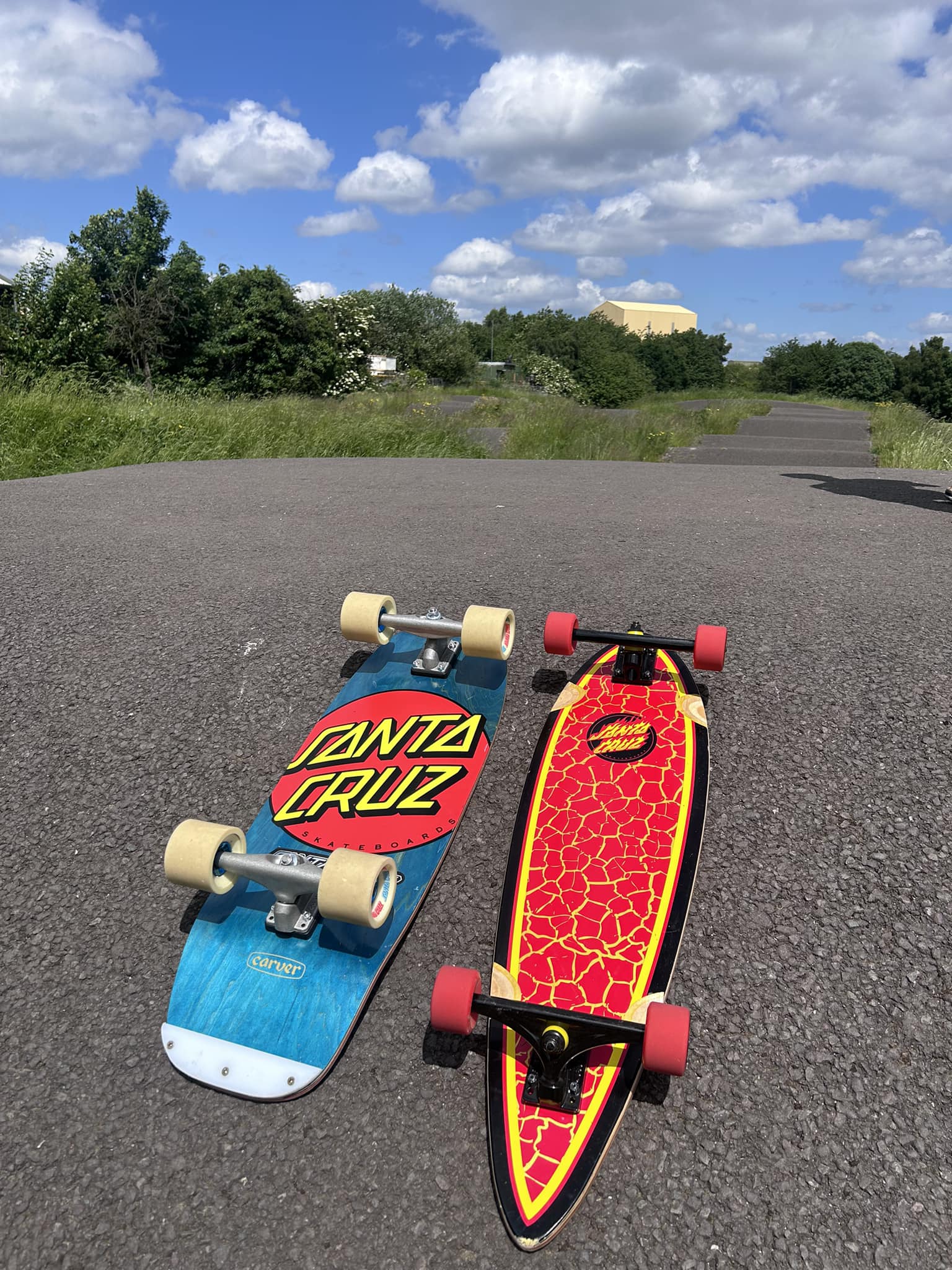 Should I get a Birdhouse or Santa Cruz skateboard?