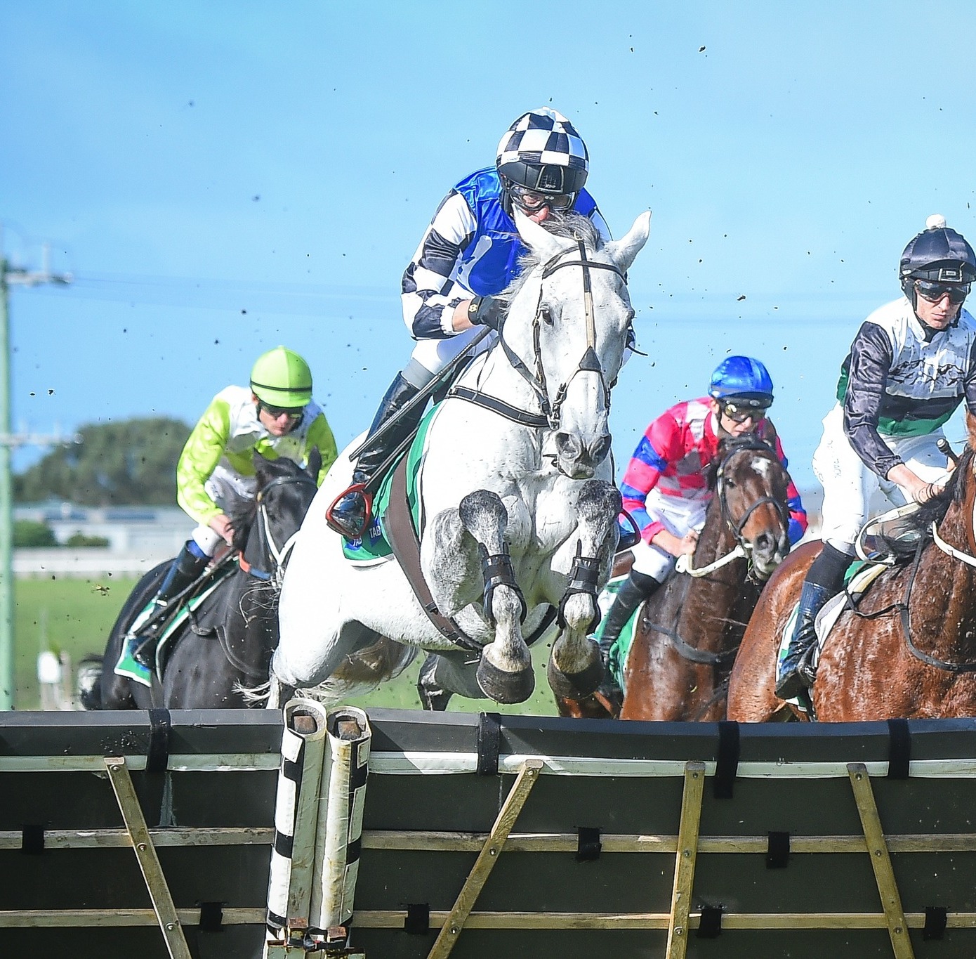 Racing Victoria - Saunter Boy wins the Sovereign Resort...