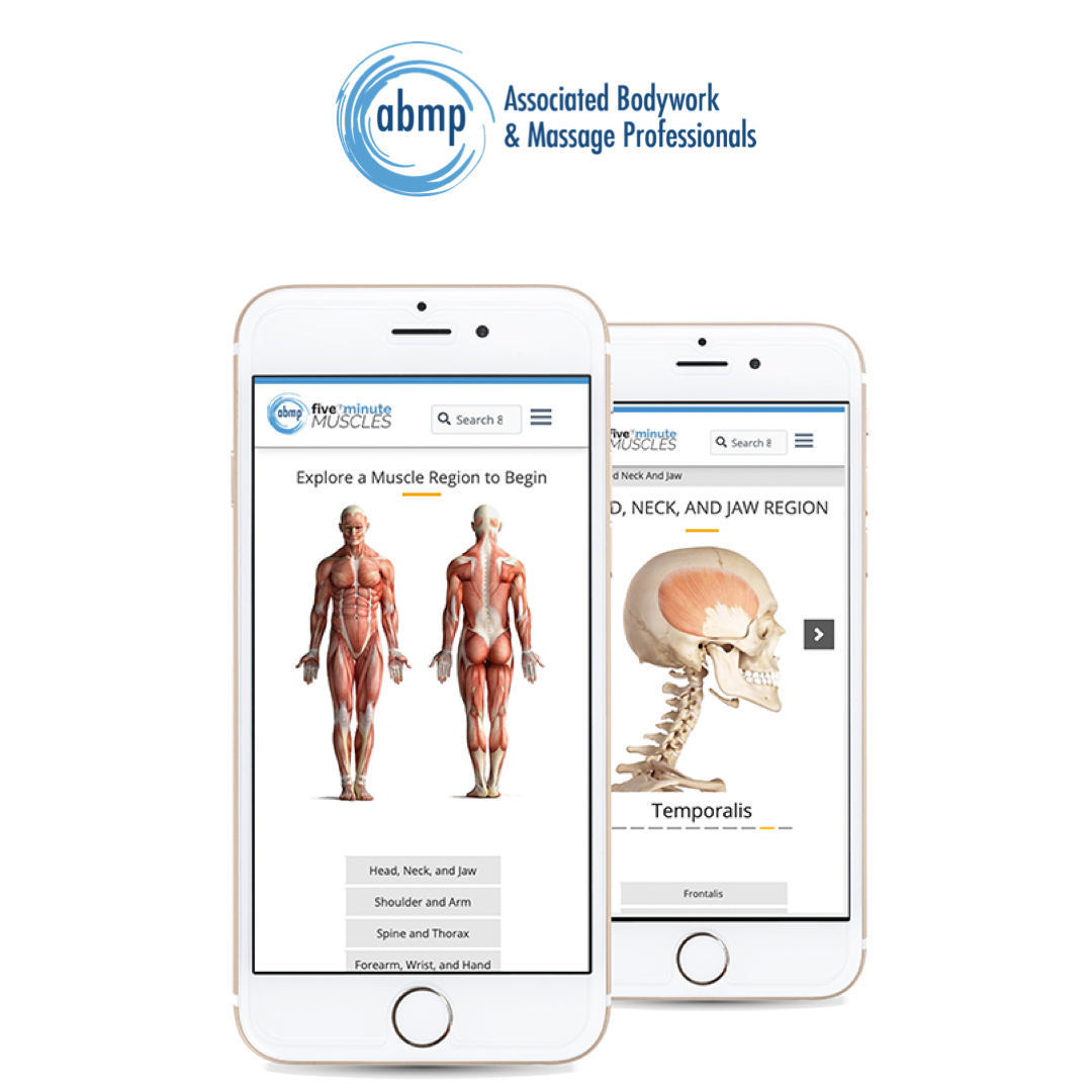 Associated Bodywork & Massage Professionals (ABMP) - What can you do ...