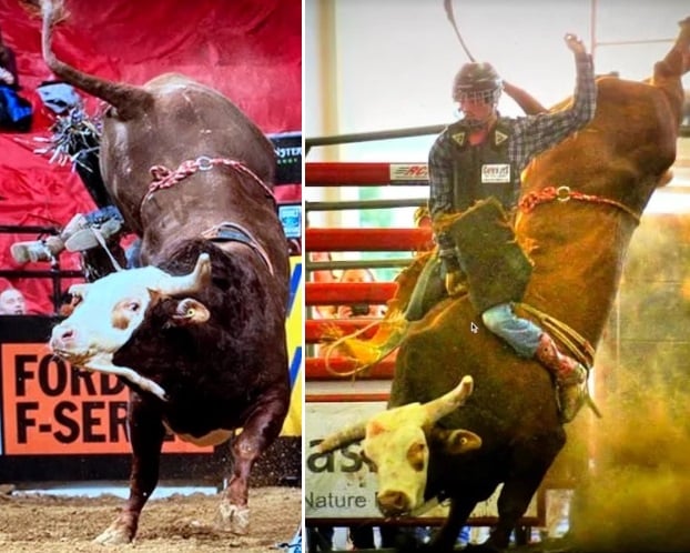 TCB Ranch | Bethesda OH
