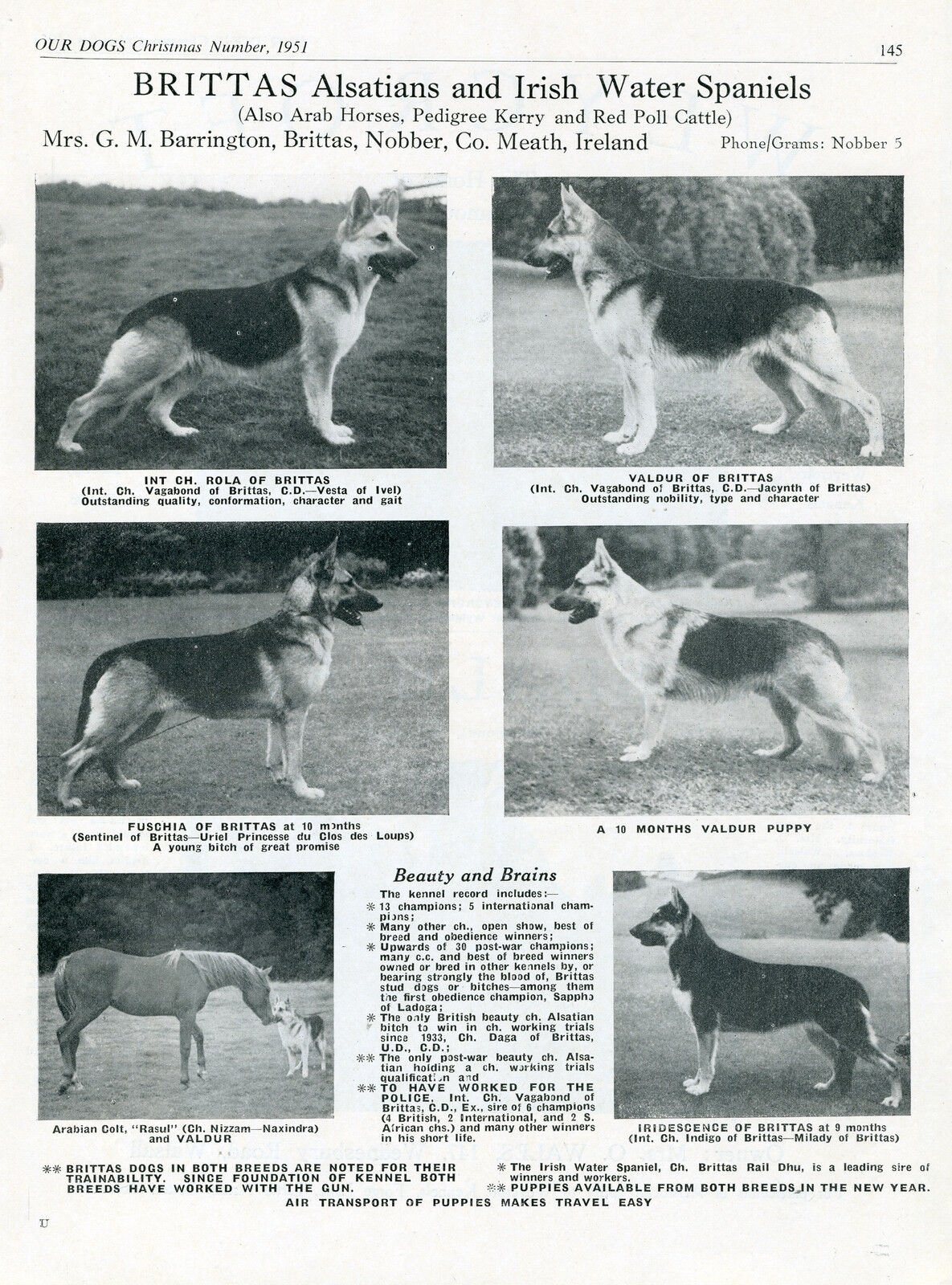THE VISIBLE DOG Assembly Kit Renwal, 1961 Click for Full Image