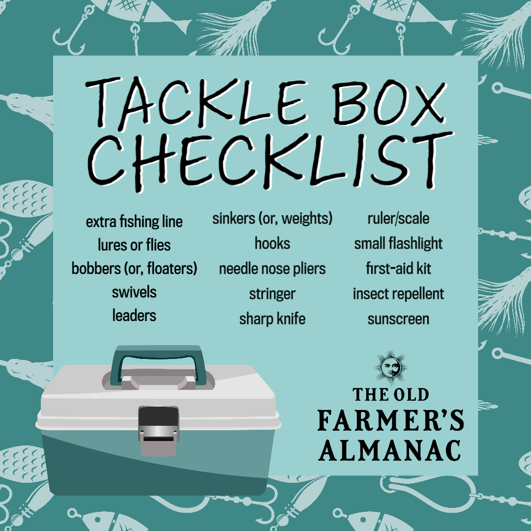 fisherman's tackle box checklist Mystery Bass Pro Fishing Kit Discover the secret to reeling in big bass with this Mystery Tackle Pro Bass Fishing Kit Fishing Trip Checklist