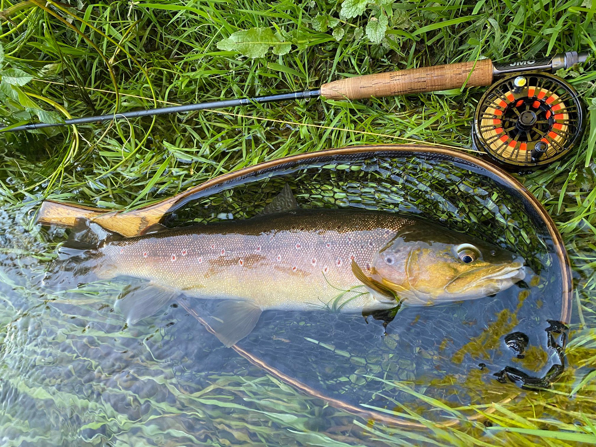Angel-Berger Carp Series Skinline - Tresse Carpe 10m Vert Mud 25kg