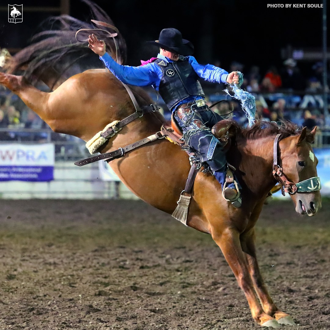🤩 Onion... - Idaho's Oldest Rodeo - The War Bonnet Round Up