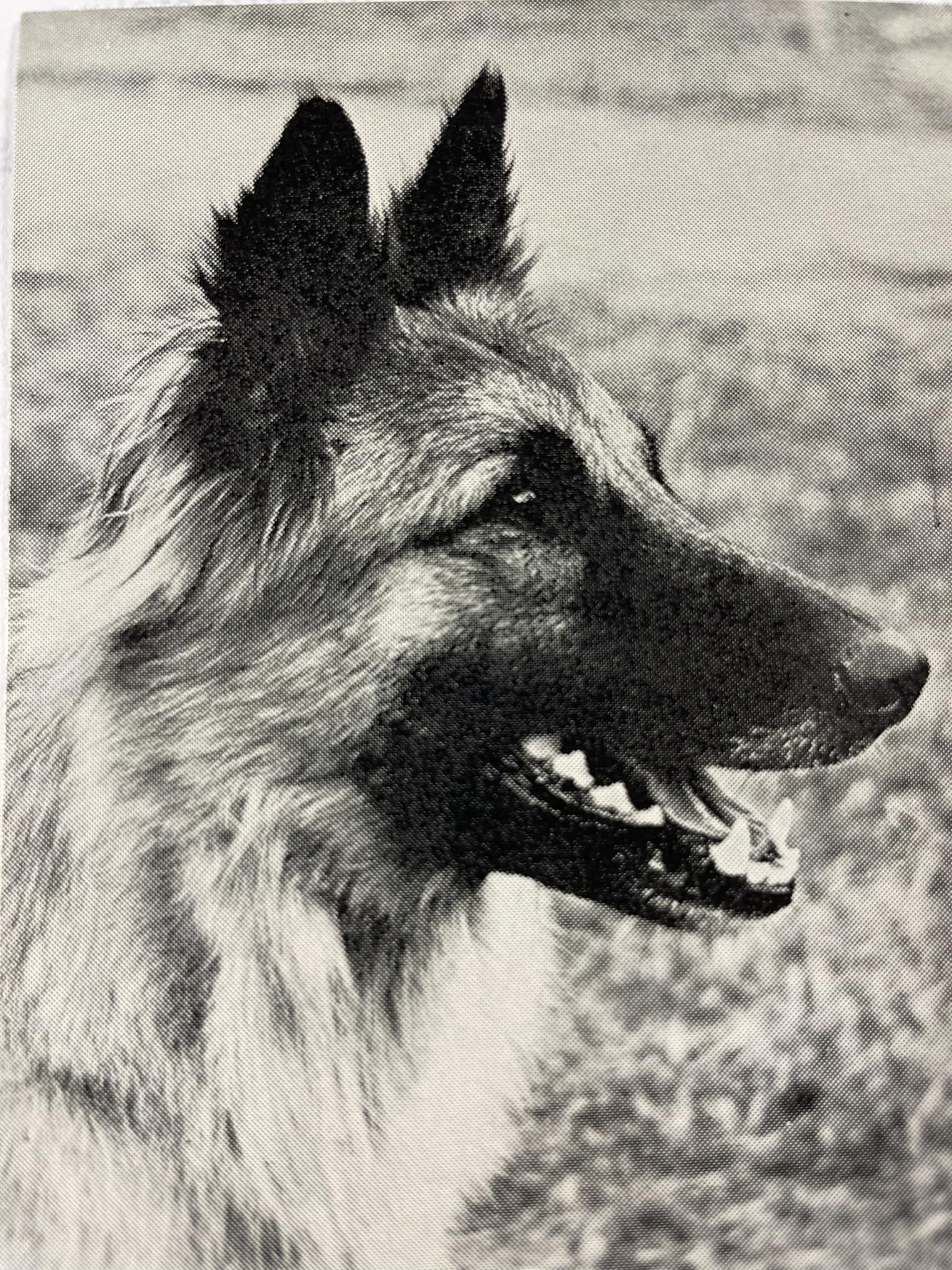 Birgitta Svarstad