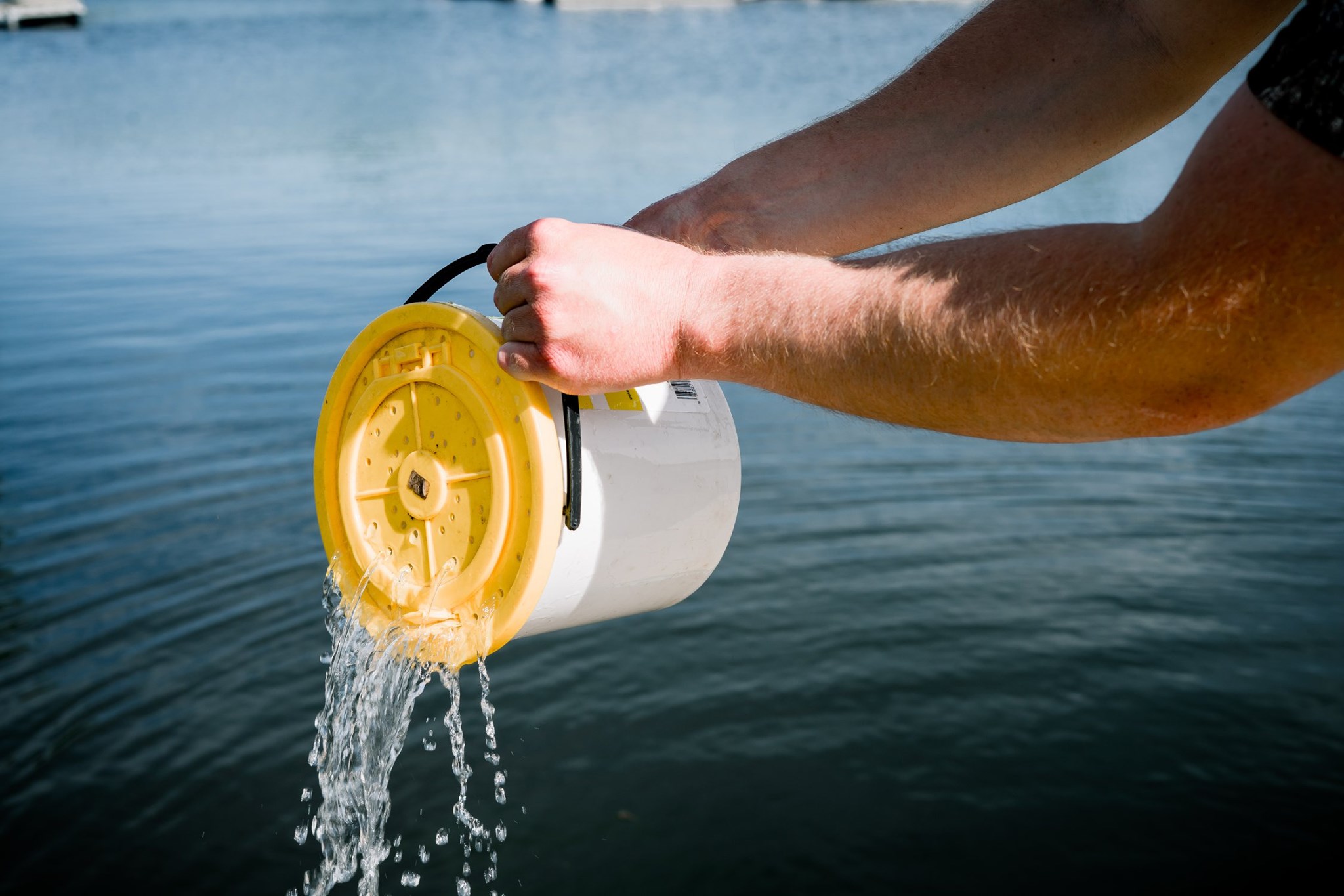 South Dakota Game, Fish and Parks - What's in your bait bucket? The ...