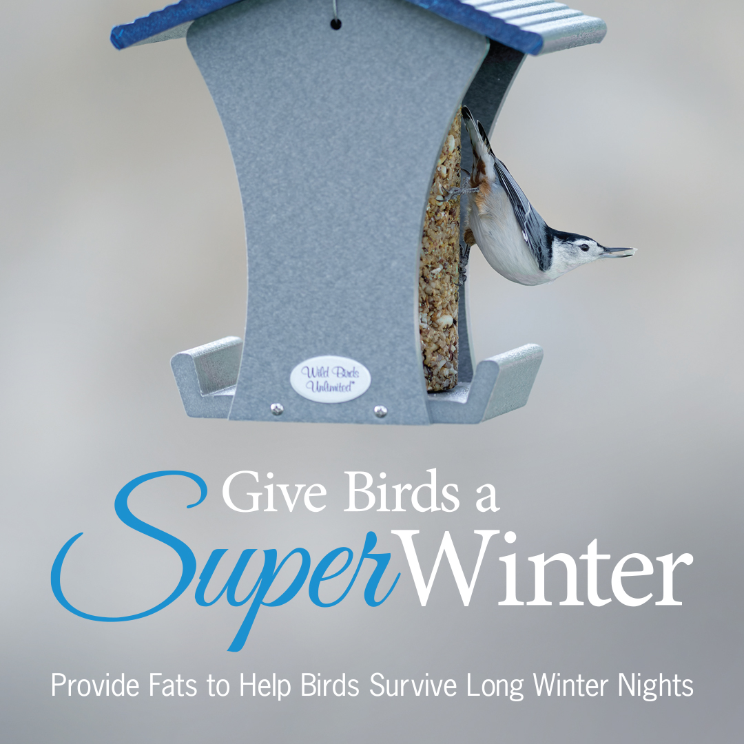 Wild Birds Unlimited - Winter is a wonderful time to feed the birds ...