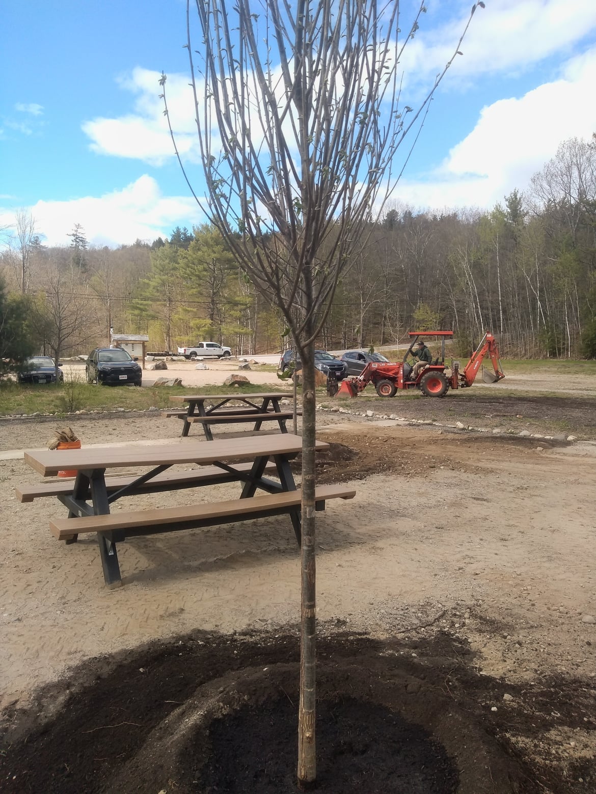 The Grey Rocks picnic... - Newfound Lake Region Association