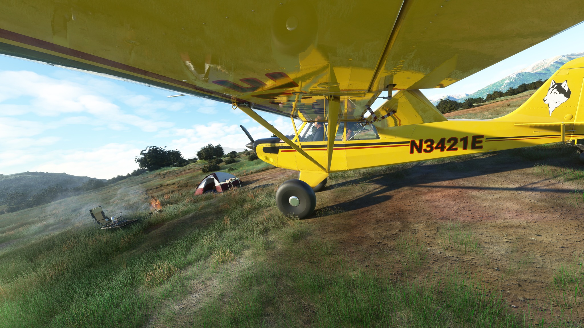 Microsoft Flight Simulator 2024 (Asobo Studio) | I just discovered the ...