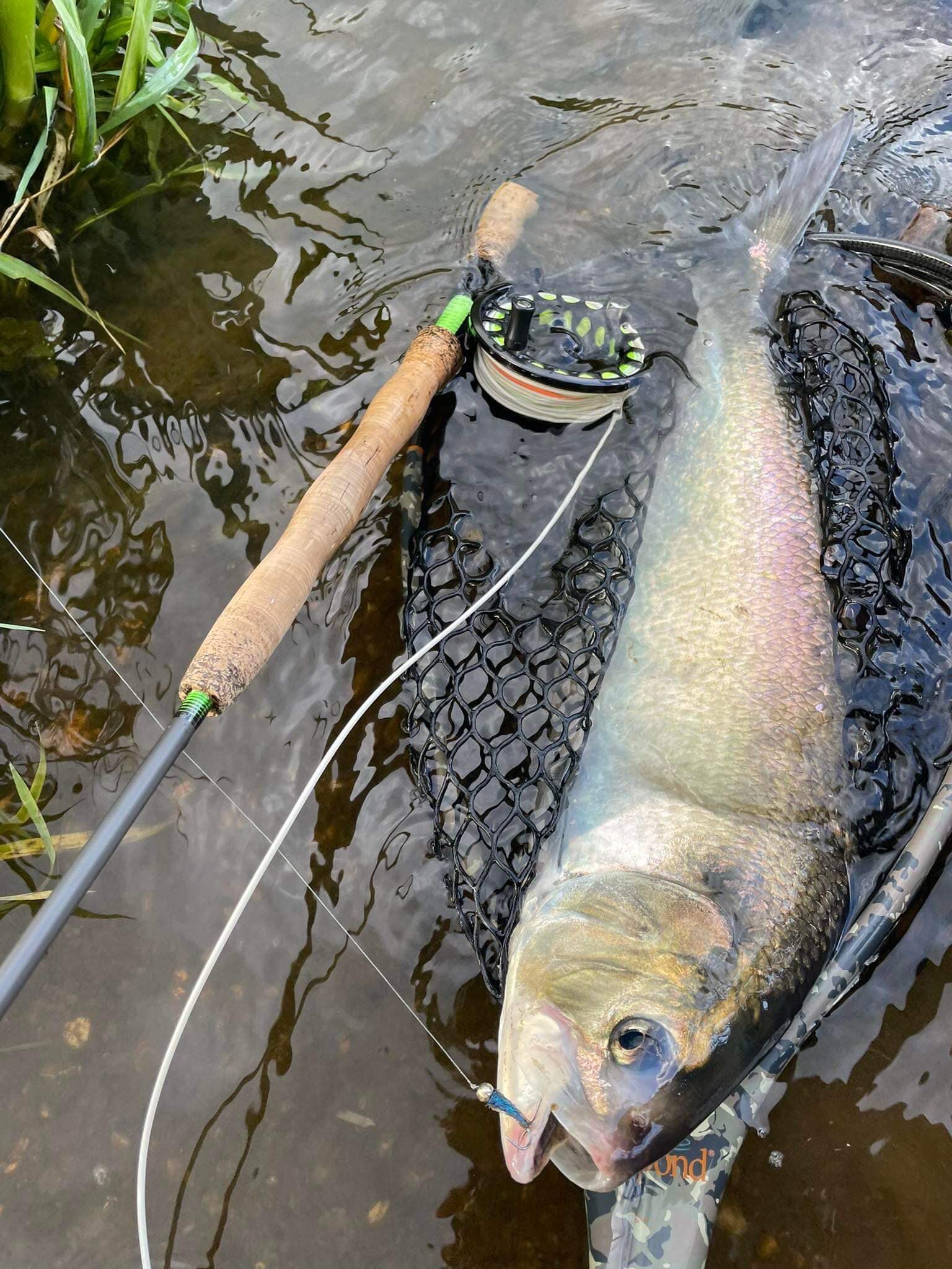 Shimano Freestone FS-908 rod and Danielsson reel