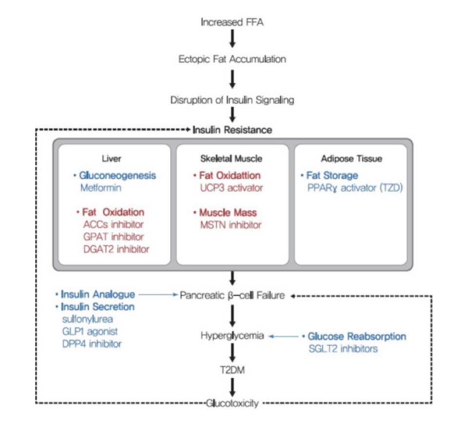 dpp 4 inhibitor and glp 1 agonist dpp-4_inhibitors [TUSOM glp 1 agonist dpp 4