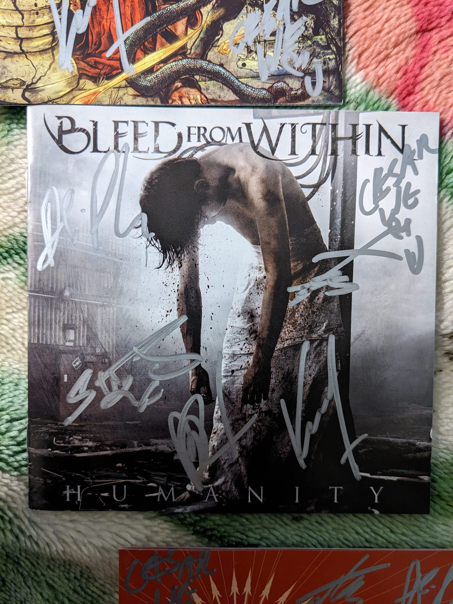 Any updates on Bleed From Within's next show?