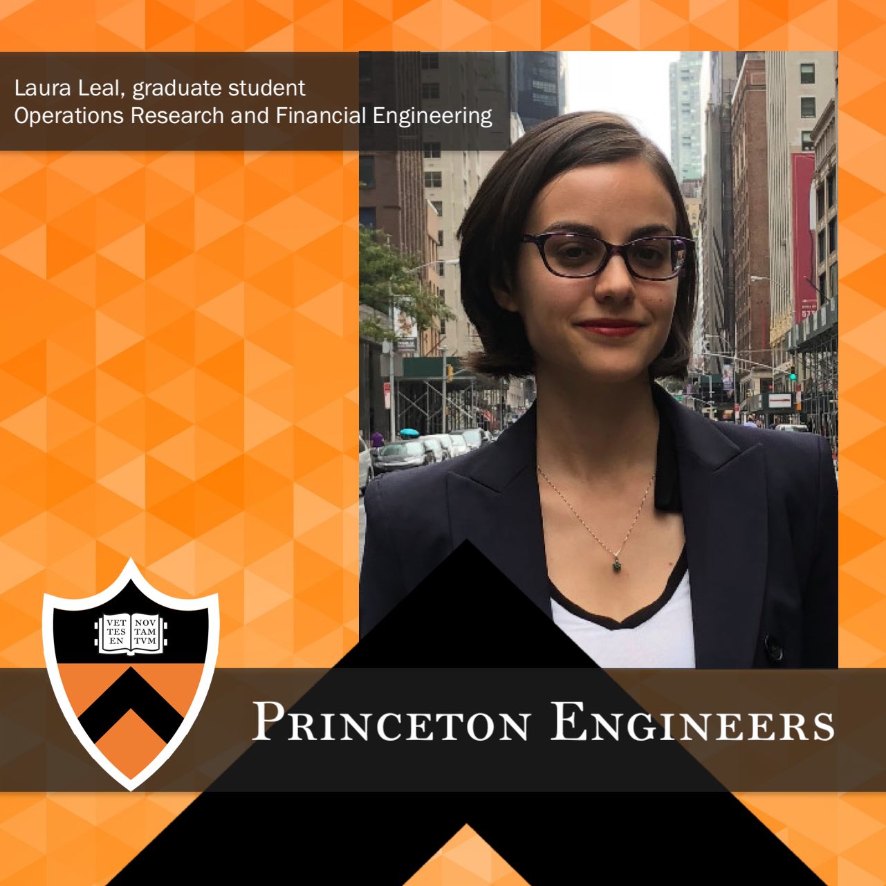 Princeton Engineering - 