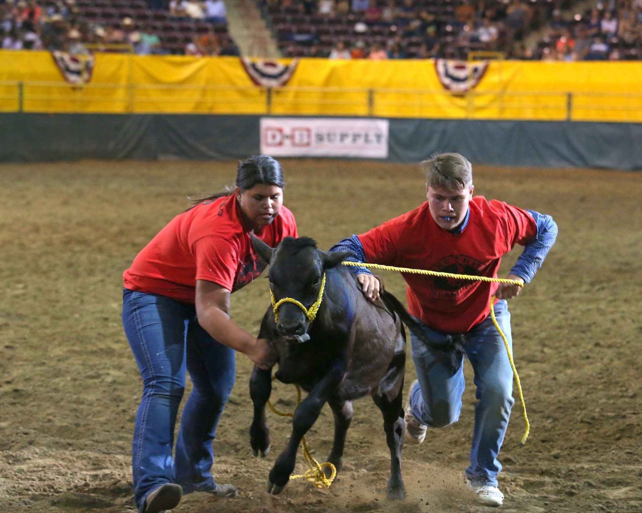 Snake - The Snake River Stampede Directors and the Calf Scramble ...