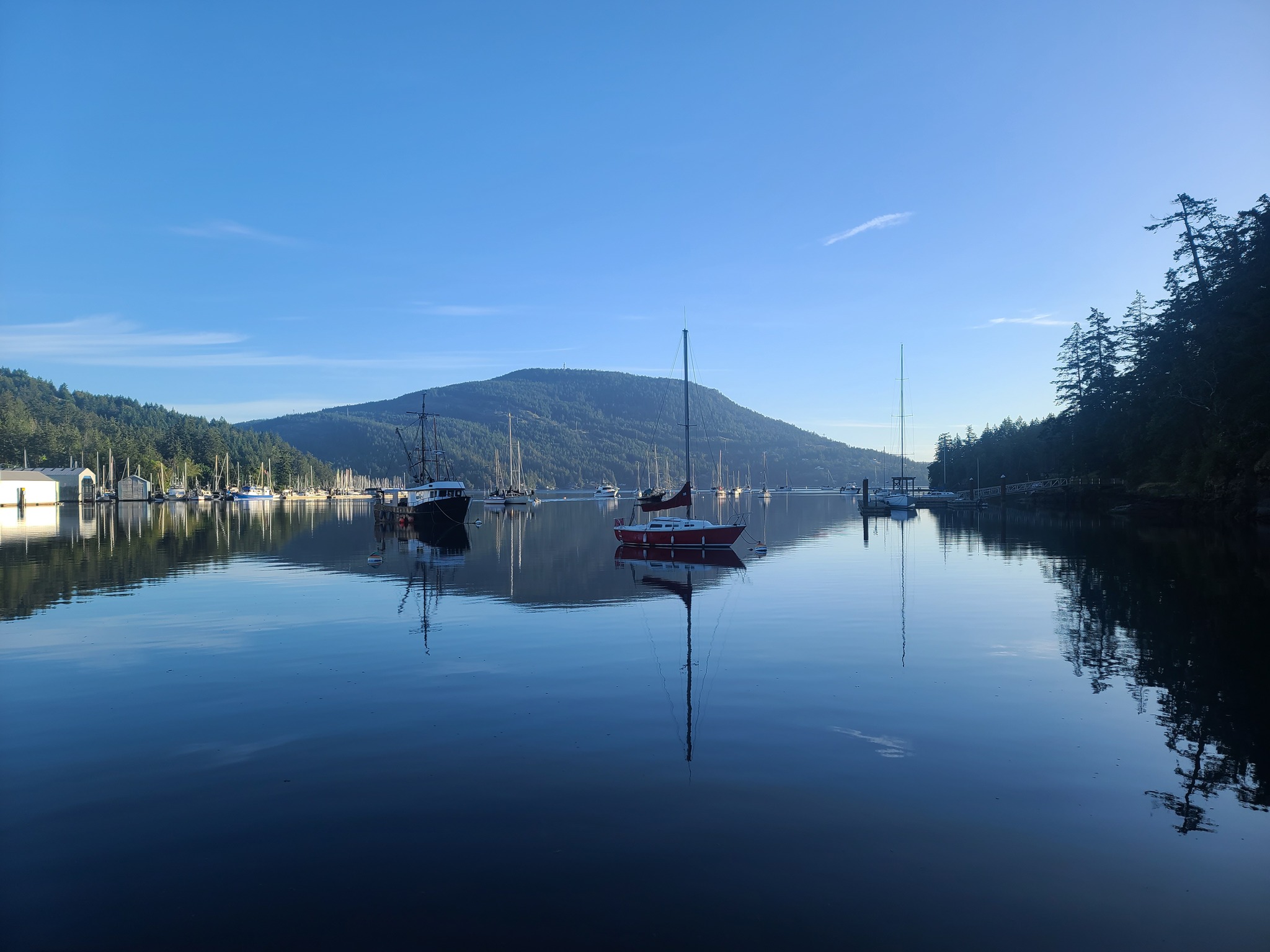 Rae Simpson - Finally a tranquil morning in Maple Bay... | Facebook
