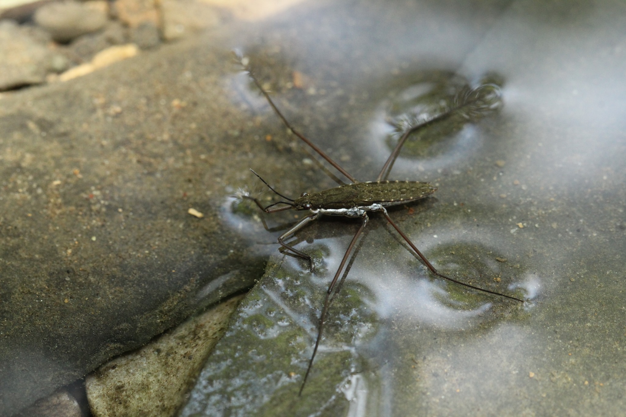 Department - Here is a beautiful macro photo from Dr. Ellen Klinger of ...