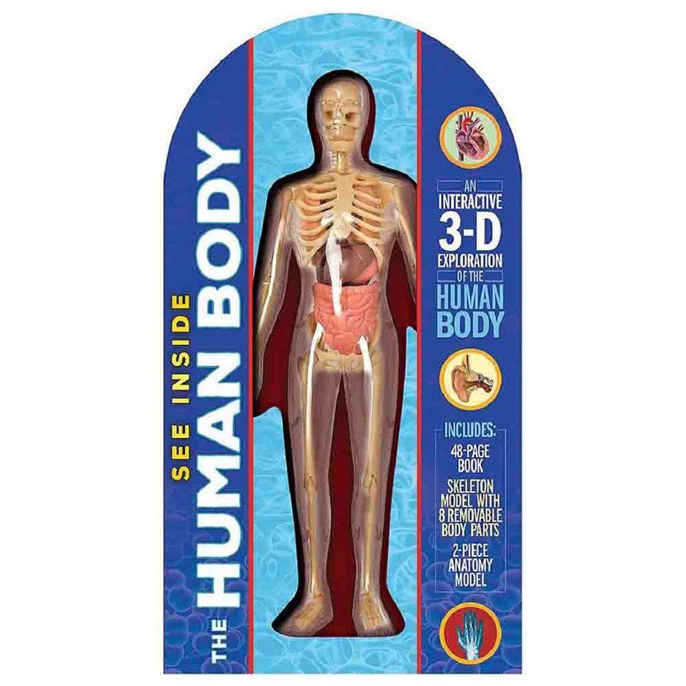 'See Inside The Human Body Kit' 🥼 Help... - Fizzics Education | Facebook