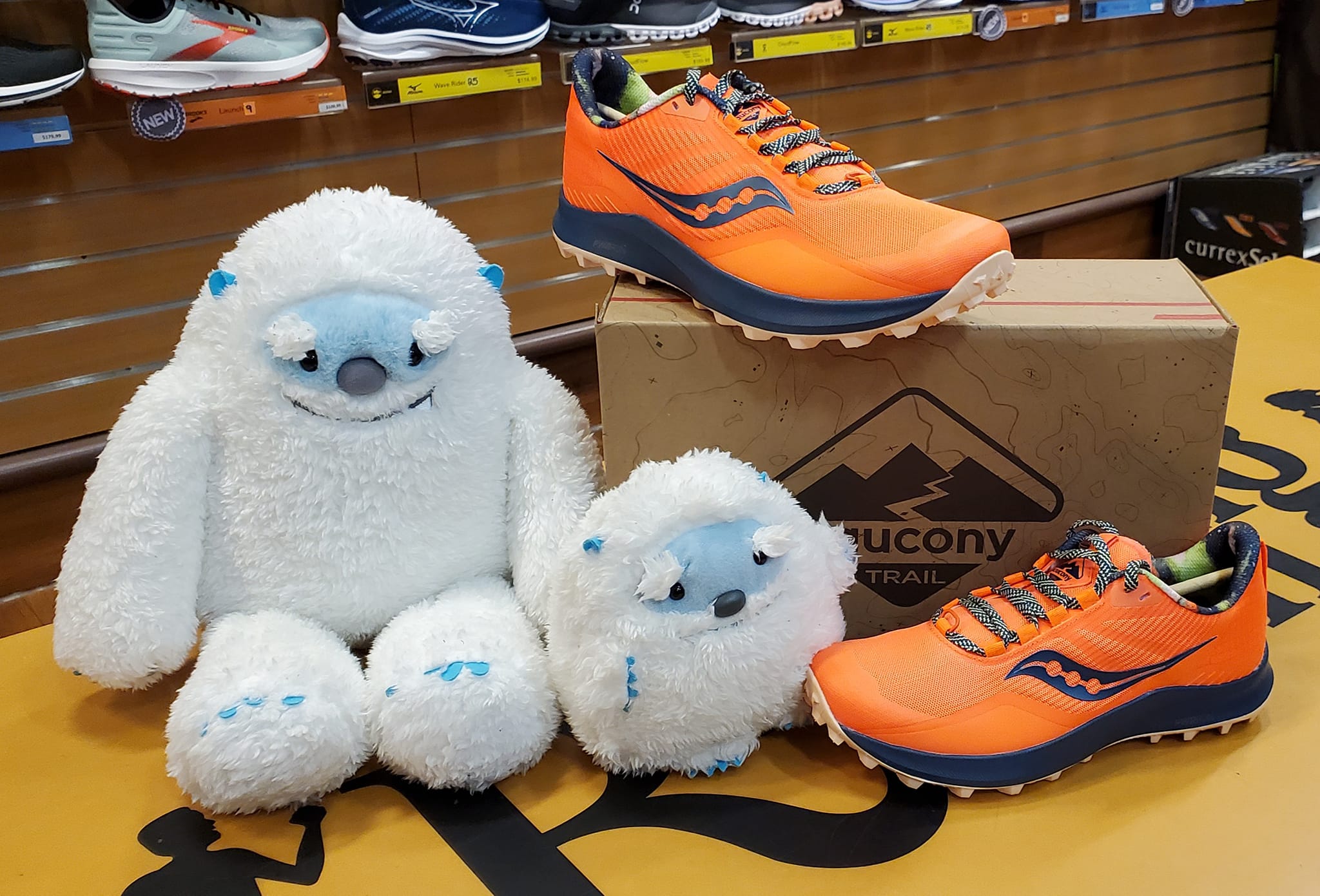 Shop the fastest shoe we