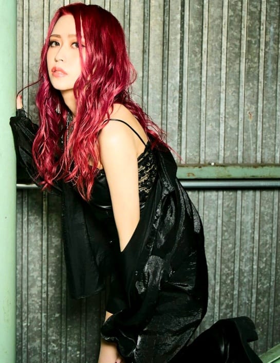 Narumi「The SEED」DESTROSE 成美 Narumi「The SEED」DESTROSE 成美