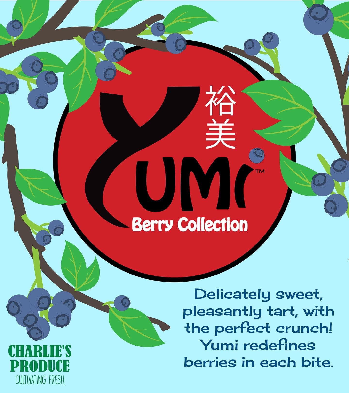 We are thrilled to debut our newest addition to the Yumi Berry