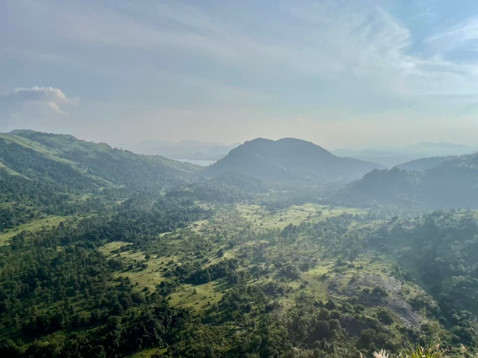 Chamitha Rathnayake