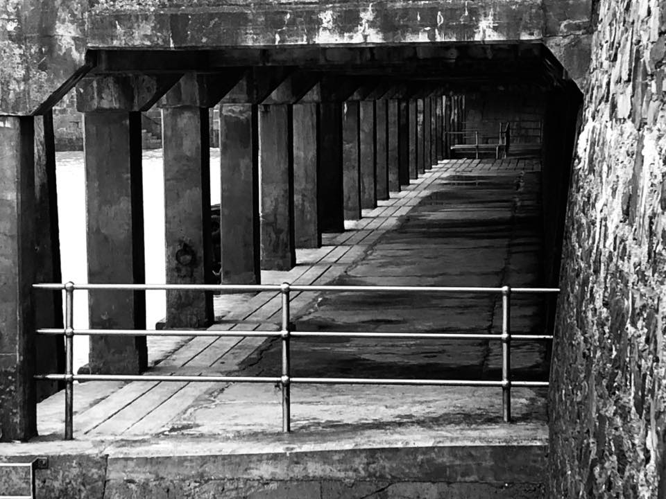 Jane Perrin Photography